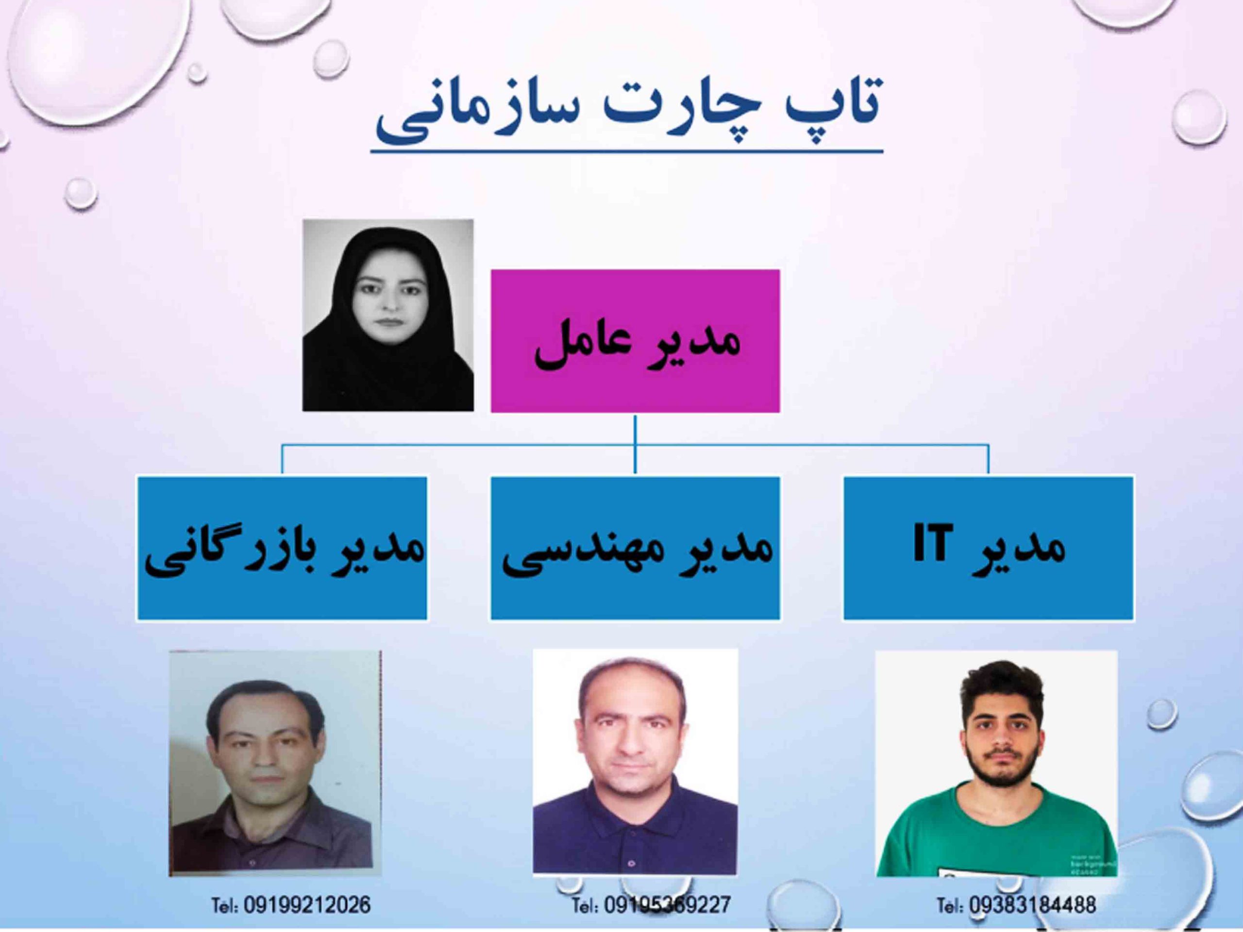 چارت سازمانی